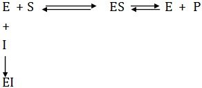 Michaelis menten kinetics